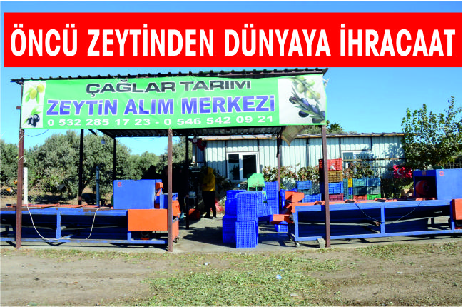 ÖNCÜ ZEYTİNDEN DÜNYAYA İHRACAAT